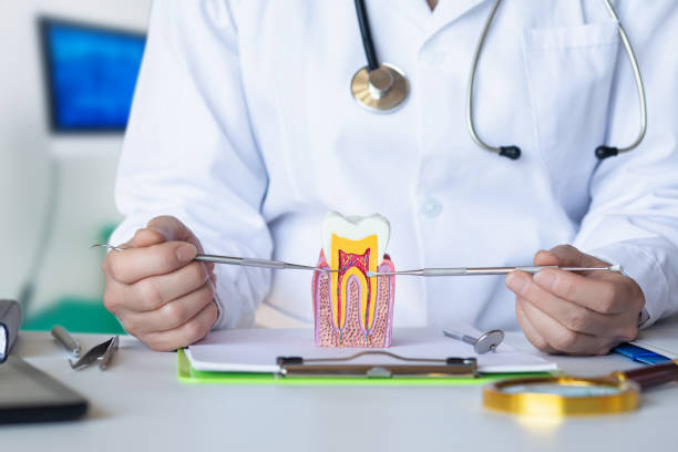Best Pediatric Emergency Dentist in Fergus Falls, MN